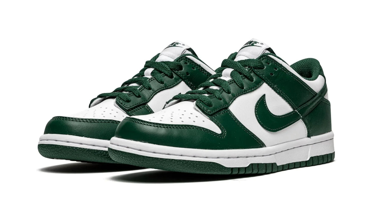 Nike Dunk Low Michigan Kids' Sneakers CW1590-102