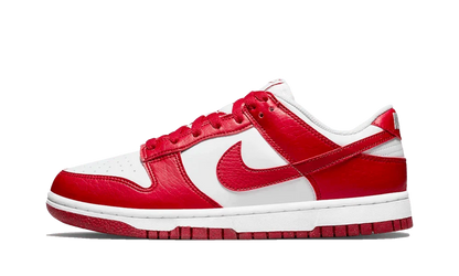 Nike Dunk Low Next Nature Gym Red Women's Sneakers DN1431-101