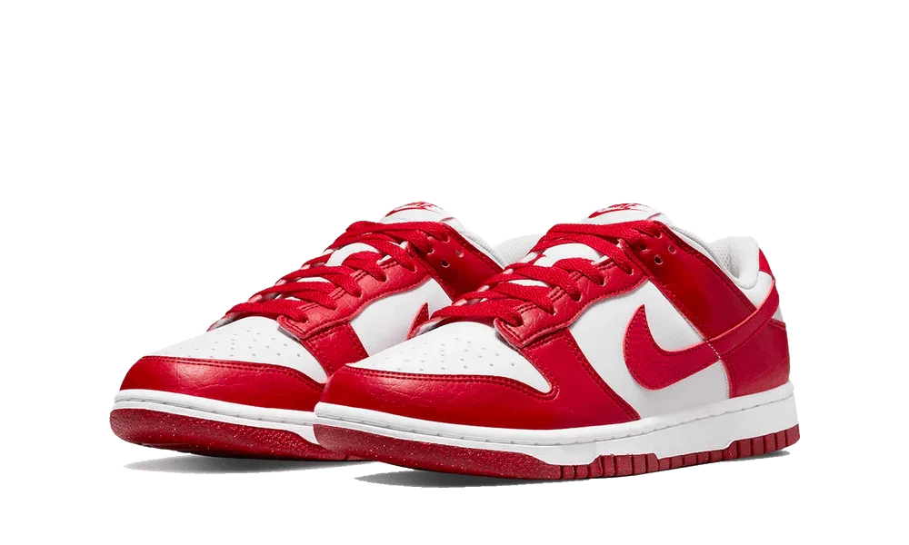Nike Dunk Low Next Nature Gym Red Women's Sneakers DN1431-101