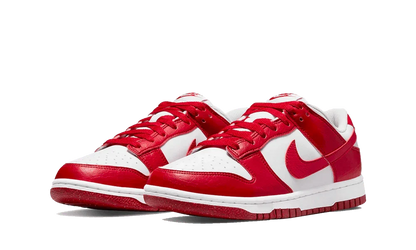 Nike Dunk Low Next Nature Gym Red Women's Sneakers DN1431-101