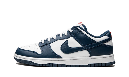 Nike Dunk Low Valerian Blue Men's Sneakers DD1391-400
