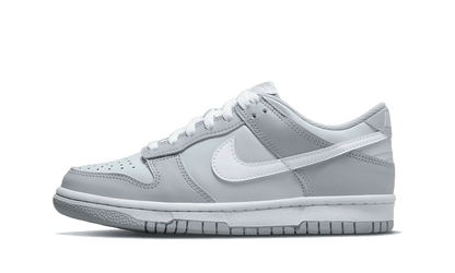 Nike Dunk Low Two Tone Grey Kids' Sneakers DH9765-001